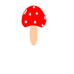 fly agaric mushroom