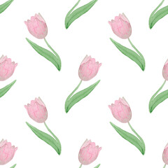 Pink Tulips Seamless Pattern, Watercolor Floral Print, Spring Garden Botanical Illustration on White