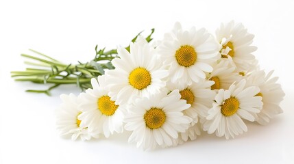 Obraz premium A small bouquet of daisies, isolated on a white background