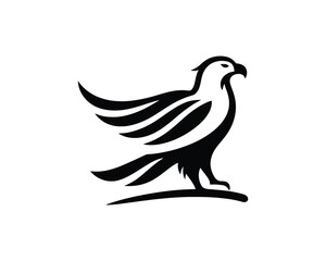 Silhouette Eagle bird logo design icon symbol vector illustration.