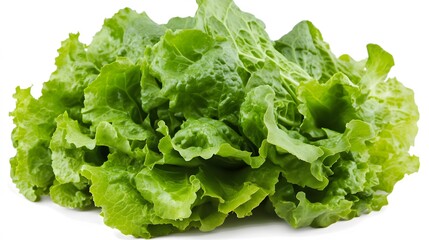 A fresh head of lettuce, clean white background, transparent isolate
