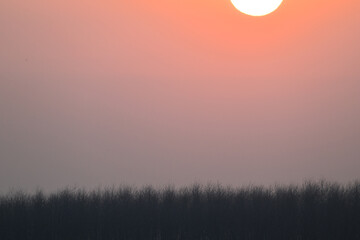 sunrise in the mountains