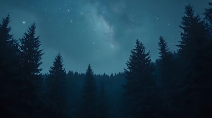 A canopy of pines, bathed in the ethereal glow of a star-studded night sky.  A sense of profound peace settles over the forest