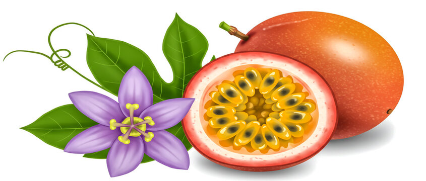 Half Cut Pointed Shape Showing Inner Seeds