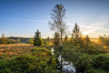 High Fens Eifel Belgium 