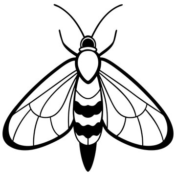 black and white moth drawing clip art preview