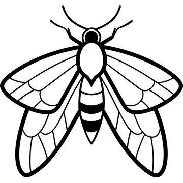 black and white moth outline clip art preview