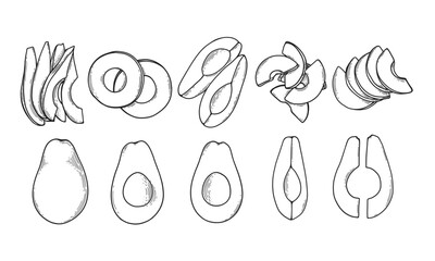Hand drawn sketch style avocado set on white background. Avocado cut in various ways, slices and wedges. Vector illustration