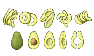 Avocado set with whole halved and sliced green tropical fruit. Vegan healthy nutritious food in flat detailed vector style for packaging, designs, decorative elements
