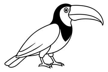 Simple Toucan Line Art