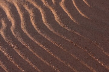Sandriffeln in roten Wüstensand in der Namib