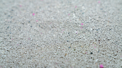 Cat litter granules close up. The texture of granular toilet filler. Cat litter in granules box. active carbon. texture pattern. Clean Cat litter in a litter tray. Background of white bentonite fresh