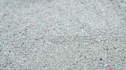 Cat litter granules close up. The texture of granular toilet filler. Cat litter in granules box. active carbon. texture pattern. Clean Cat litter in a litter tray. Background of white bentonite fresh