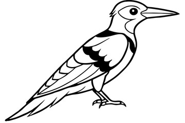 Woodpecker Line Illustration