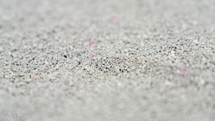 Cat litter granules close up. The texture of granular toilet filler. Cat litter in granules box. active carbon. texture pattern. Clean Cat litter in a litter tray. Background of white bentonite fresh