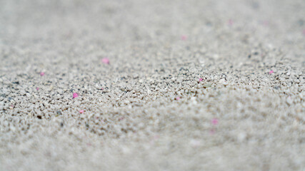 Cat litter granules close up. The texture of granular toilet filler. Cat litter in granules box. active carbon. texture pattern. Clean Cat litter in a litter tray. Background of white bentonite fresh