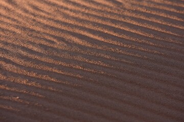 Sandriffeln in roten Wüstensand in der Namib