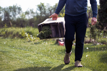 Composting of cut grass and fallen leaves to enrich soil