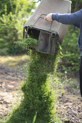 Composting of cut grass and fallen leaves to enrich soil