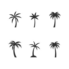 Fototapeta premium Palm Tree Silhouettes Set - Black and White Minimalist Palm Icons.