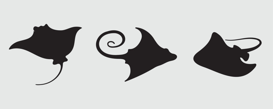 Set of three stingray silhouettes in different shapes and poses, featuring elegant and fluid designs. Perfect for marine-themed designs, logos, or artistic illustrations