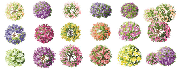 Vertor set of spring blossom tree,blooming plants top view for landscape plan,schematic layout,eco environment concept design,watercolor sakura illustration