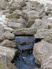 A gentle stone stream with rocks and flowing water