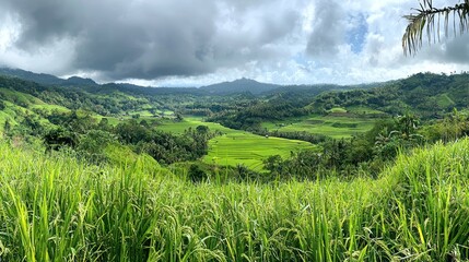 Lush Green Rice Terraces Landscape with Cloudy Sky on Tropical Island