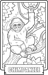 African chimpanzee monkey, coloring page for kids