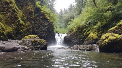 Waterfall Flows Through Mossy Rocks in Lush Forest Setting