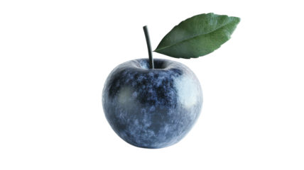 Unique dark apple with a green leaf showcasing striking colors against a white background