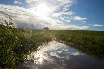 Fototapete bei efototapeten.de bestellen   