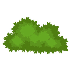 Green Bush Illustration