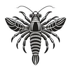 Shrimp design vintage vector illustration