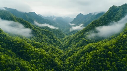 Fototapeta premium Lush Green Mountain Valley with Misty Clouds and Serene Nature Vibes