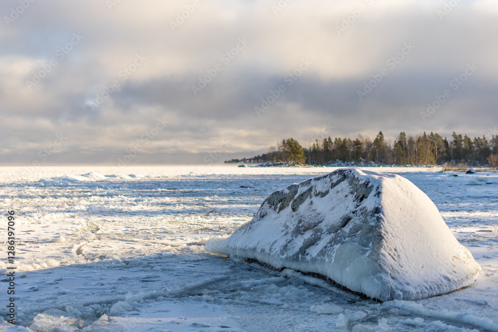 Wall mural frozen lake in winter