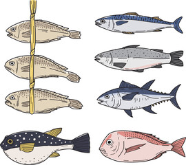 llustration of various fish