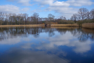 Teich bei der biologischen Station des Naturreservates Rieselfelder Windel