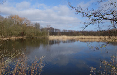 Naturschutzgebiet Rieselfelder Windel bei Bielefeld