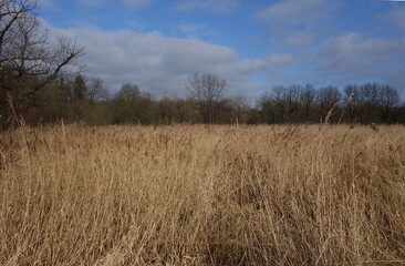 Hintergrund Landschaft Feld natur