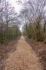 Obraz premium Weg mit Hackschnitzeln