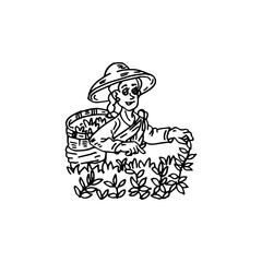 Farmer woman picking tea leaves, hand-drawn doodle cartoon farming vector.