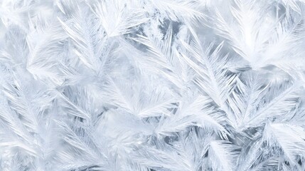 Obraz premium Close up of Intricate Feather like Frost Patterns Forming Stunning Winter Artwork on a Glass Surface The Delicate Glassy Crystals Resemble Ethereal Lacy Designs with a Minimalist Natural Beauty