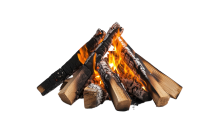 Campfire crackles with warmth and light during a cozy evening gathering in the woods