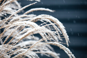 Heavy winter first snow in the street