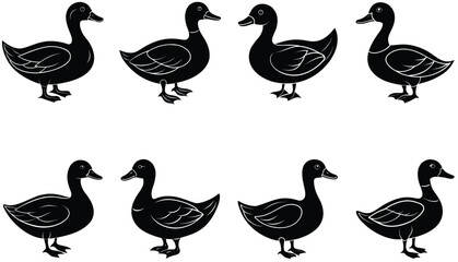 Lake Ducks Vector Silhouette. Duck silhouettes. Bundle Duck silhouette collection.