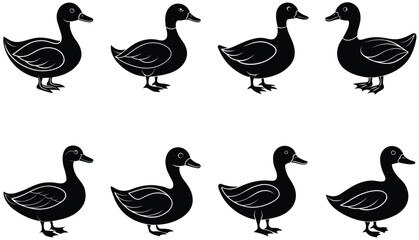 Lake Ducks Vector Silhouette. Duck silhouettes. Bundle Duck silhouette collection.