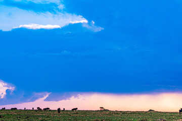 landscape with clouds and rainbow