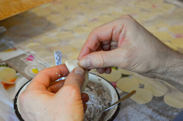 close-up of hands shaping a homemade dumpling pelmeni with a meat filling bowl spoon traditional cooking preparation recipe tutorials cultural family cuisine pelmeni making meals Slavic Eastern Europ 