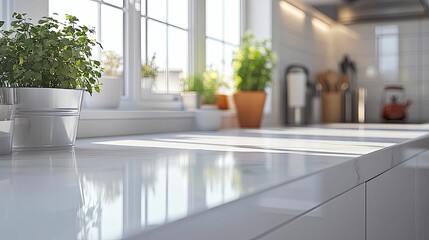 Sunlit Kitchen Countertop With Fresh Herbs In Pot